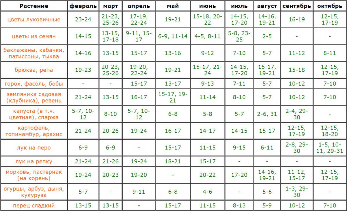 Måned januar - vinteren suverene